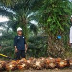 PTPN IV PalmCo Kelola Keberagaman 55 Suku Bangsa