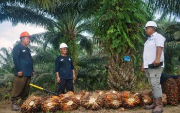 PTPN IV PalmCo Kelola Keberagaman 55 Suku Bangsa