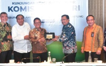 Panja Listrik Komisi XII DPR RI Kunjungi Lampung, Soroti Ketahanan Energi dan Pemerataan Akses Listrik