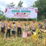 Dukung Swasembada Pangan 2026, Polres Pidie dan Warga Panen Jagung di Keumala