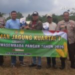 Polsek Rangkasbitung dan Pemdes Sukamanah Tanam Jagung Hibrida 1 Hektare di Dua Lokasi