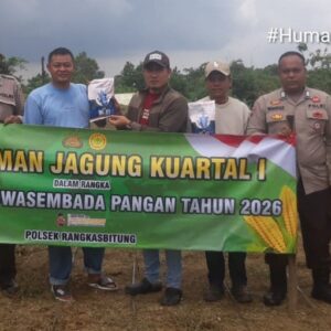 Polsek Rangkasbitung dan Pemdes Sukamanah Tanam Jagung Hibrida 1 Hektare di Dua Lokasi