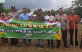 Polsek Rangkasbitung dan Pemdes Sukamanah Tanam Jagung Hibrida 1 Hektare di Dua Lokasi