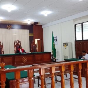 Sidang Praperadilan di PN Manokwari, Ahli Linguistik Nilai Unggahan TikTok Tak Penuhi Unsur Pencemaran