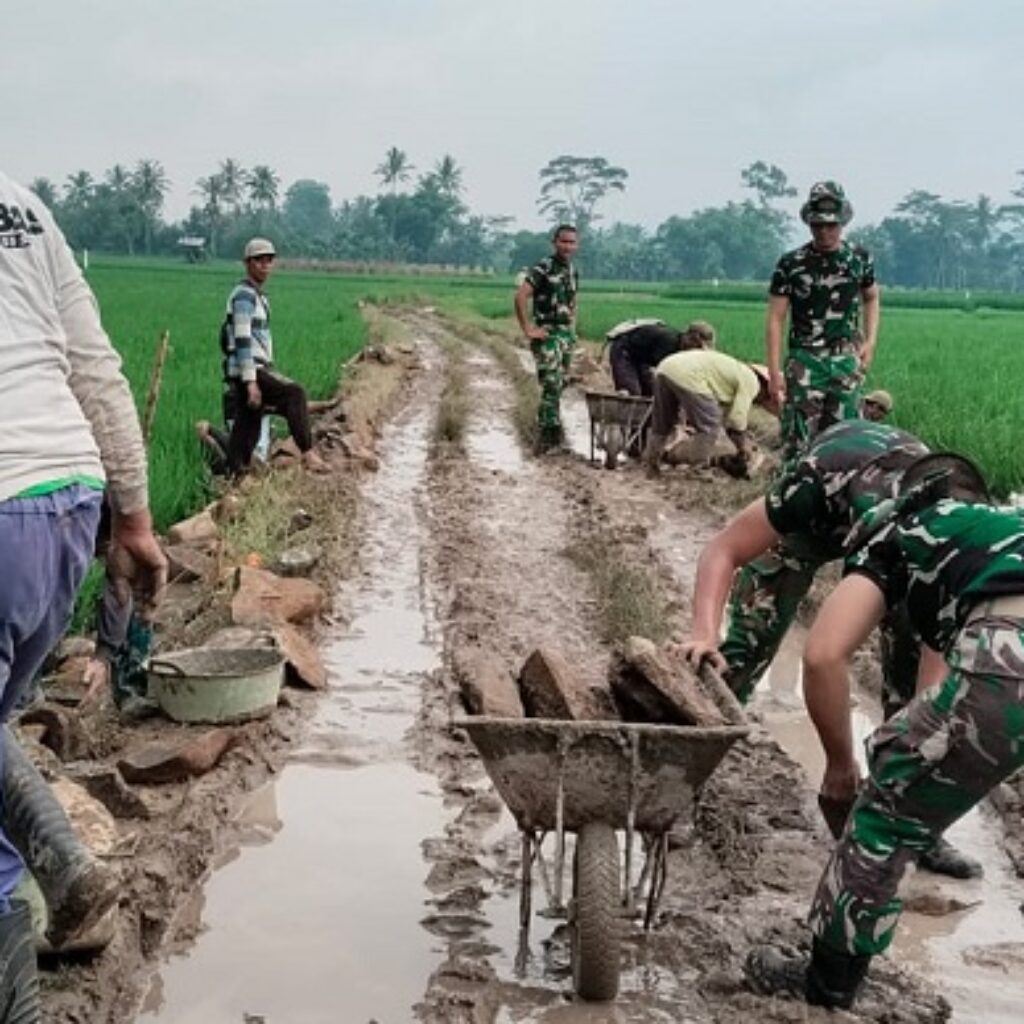 TMMD ke-127 di Pesawaran: TNI dan Warga Gotong Royong Bangun Jalan, Talud, hingga RTLH