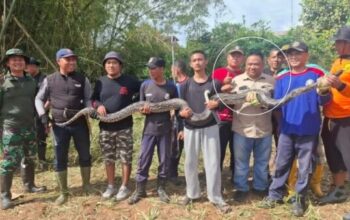 Ketua DPRD Sukabumi Budi Azhar Mutawali kerja bakti bersama warga di Jampang Tengah