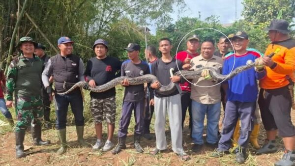 Ketua DPRD Sukabumi Budi Azhar Mutawali kerja bakti bersama warga di Jampang Tengah