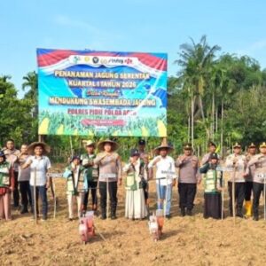 Perkuat Swasembada Pangan Nasional, Kapolres Pidie bersama Muspida Tanam Jagung di Keumala