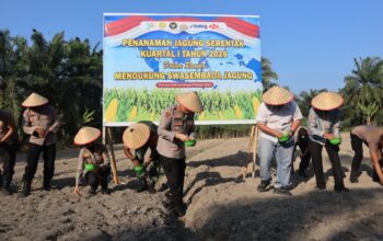 Penanaman Jagung Serentak 2026, Polresta Deli Serdang Dukung Program Ketahanan Pangan Nasional