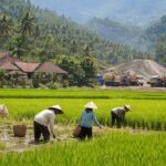 Potensi Besar Desa Mangunjaya Sukabumi: Kades Fokus Penguatan SDM dan Optimalisasi Pertanian