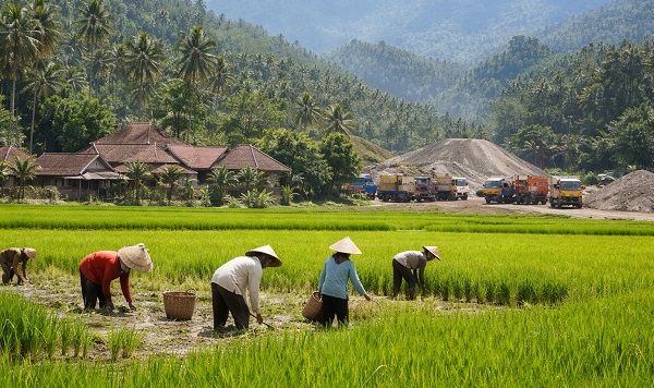 Potensi Besar Desa Mangunjaya Sukabumi
