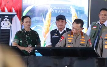 Program Ketahanan Pangan Nasional, Kapolri Bersama Pangdam II/Sriwijaya Tanam Jagung Serentak di Ogan Ilir