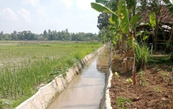 Pekerjaan Diduga Asal Jadi, Proyek Irigasi Inpres di Lampung Tengah Menuai Kritik