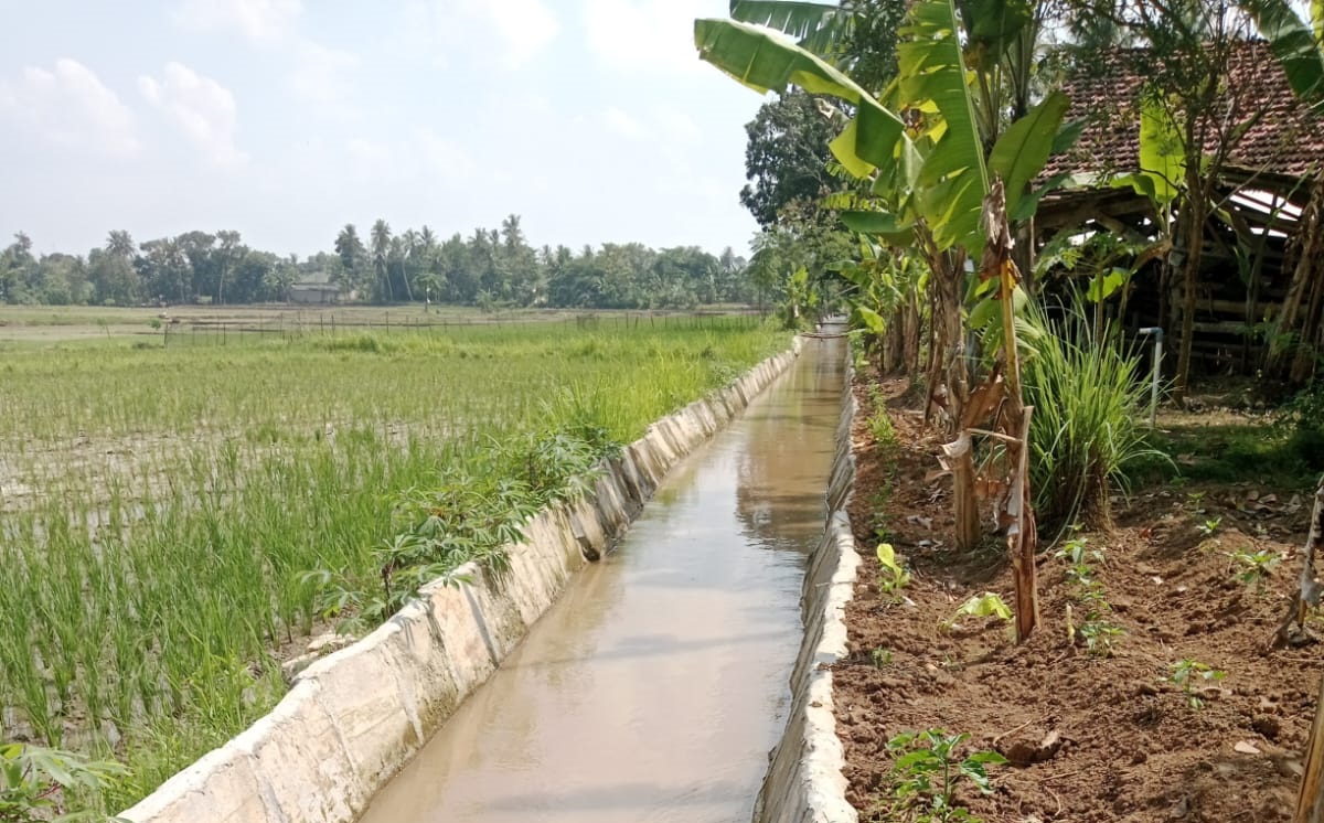 Proyek Irigasi Inpres di Lampung Tengah Menuai Kritik