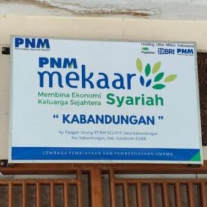 Bunga Pinjaman 25 Persen Bank Emok Disorot, Pengawasan OJK dan Koperasi Dipertanyakan