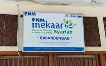 Bunga Pinjaman 25 Persen Bank Emok Disorot, Pengawasan OJK dan Koperasi Dipertanyakan