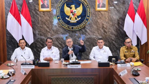 Pemetaan lahan sawah dilindungi oleh Kementerian ATR BPN.
