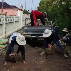 Pemuda Desa Kaliwlingi Kompak! Karang Taruna Bangun Jalan dan Atasi Banjir