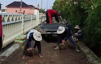Pemuda Desa Kaliwlingi Kompak! Karang Taruna Bangun Jalan dan Atasi Banjir