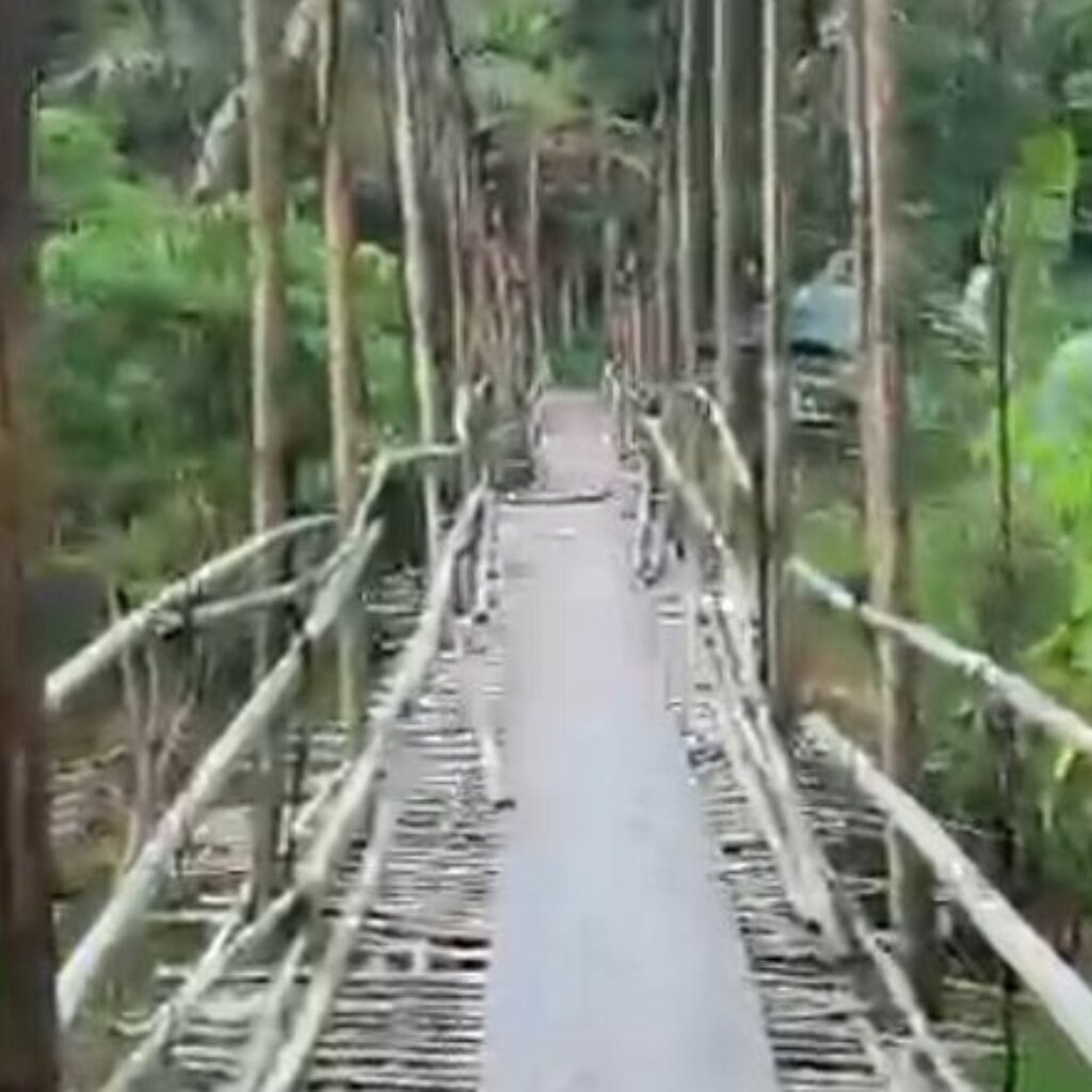 Miris! Jembatan Penghubung 2 Desa Rusak Parah, Warga Desak Pemerintah Jangan Tutup Mata