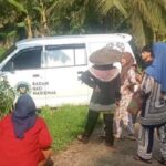 Mobil Dapur SPPG Terperosok ke Sawah di Lebak, Jalan Licin dan Turunan Tajam Diduga Jadi Penyebab