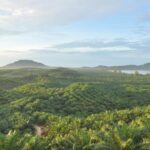 Dikuasai Secara Ilegal, PTPN IV PalmCo Pulihkan Kepemilikan 223,05 Hektare Lahan dengan Humanis Tanpa Konflik