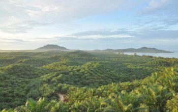 PTPN IV PalmCo Pulihkan Kepemilikan 223,05 Hektare Lahan dengan Humanis Tanpa Konflik