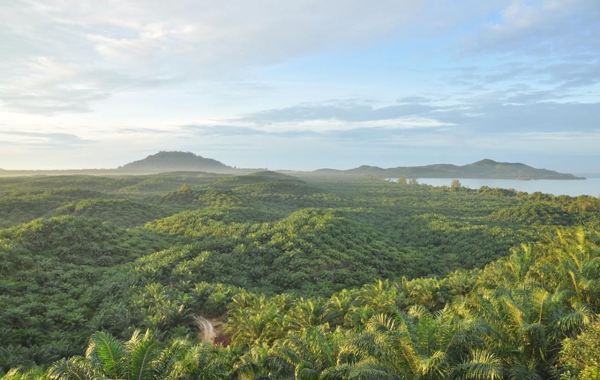 PTPN IV PalmCo Pulihkan Kepemilikan 223,05 Hektare Lahan dengan Humanis Tanpa Konflik