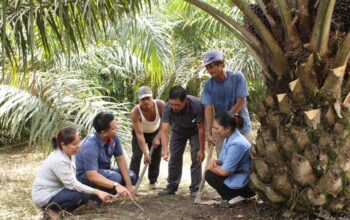 PTPN IV PalmCo Terdepan Dampingi PSR