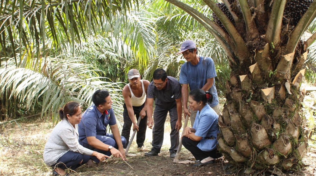 PTPN IV PalmCo Terdepan Dampingi PSR