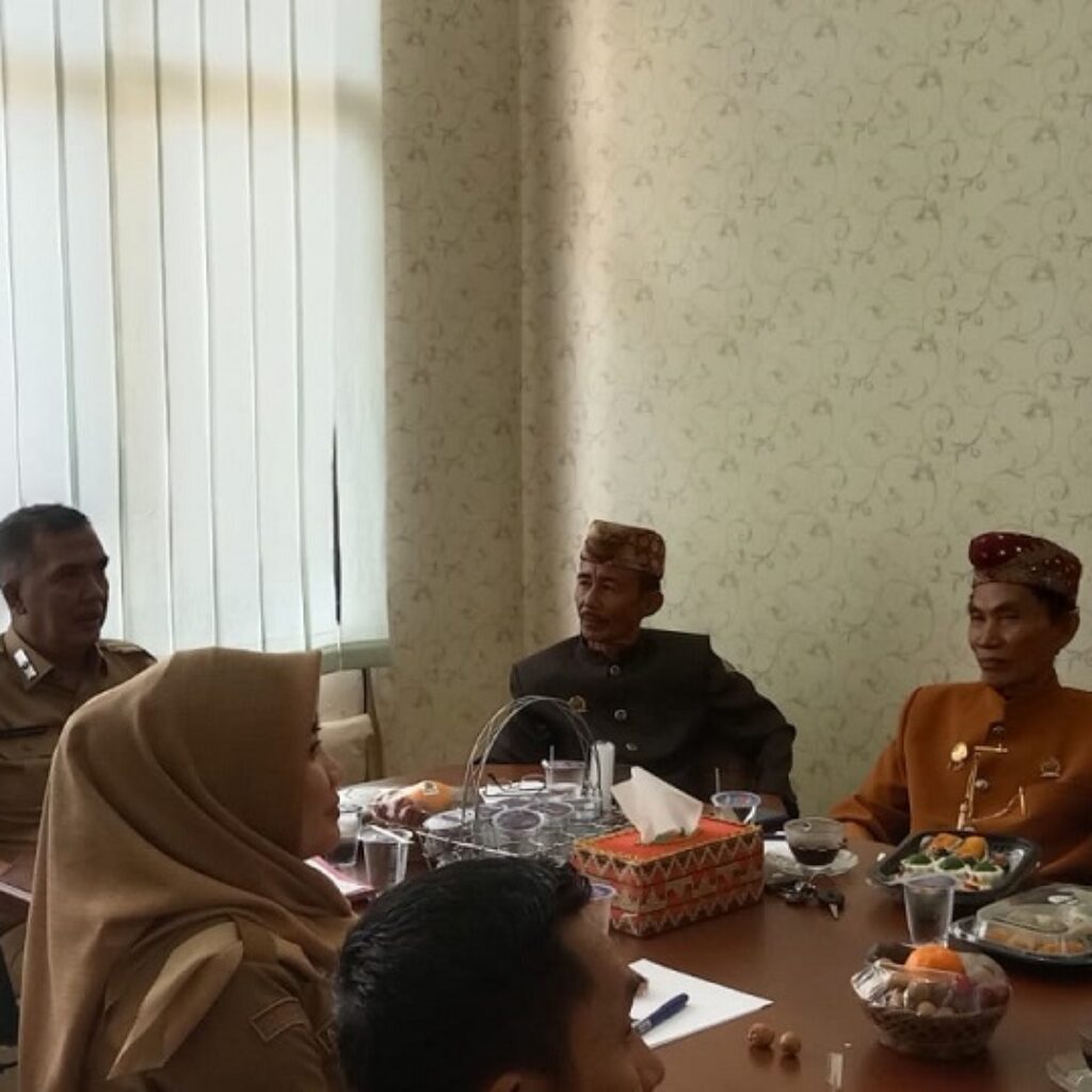 Polemik Logo HUT Ke 27 Lamtim, Zainal Abidin Gelar Suttan Paku Alam : Hasil Rapat Logo Akan di Rubah