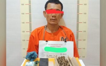 Polres Tapteng Tangkap ‘Kongo’, Pengedar Narkoba di Lubuk Tukko