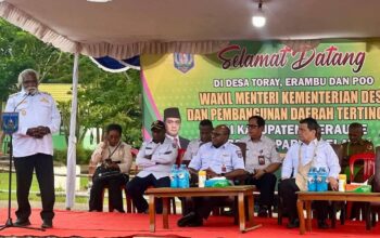 Wamendes Ahmad Riza Patria Resmikan Lampu Jalan di Merauke