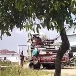 Warga Kaliwlingi Keluhkan Jalan Rusak dan Licin Akibat Aktivitas Combine