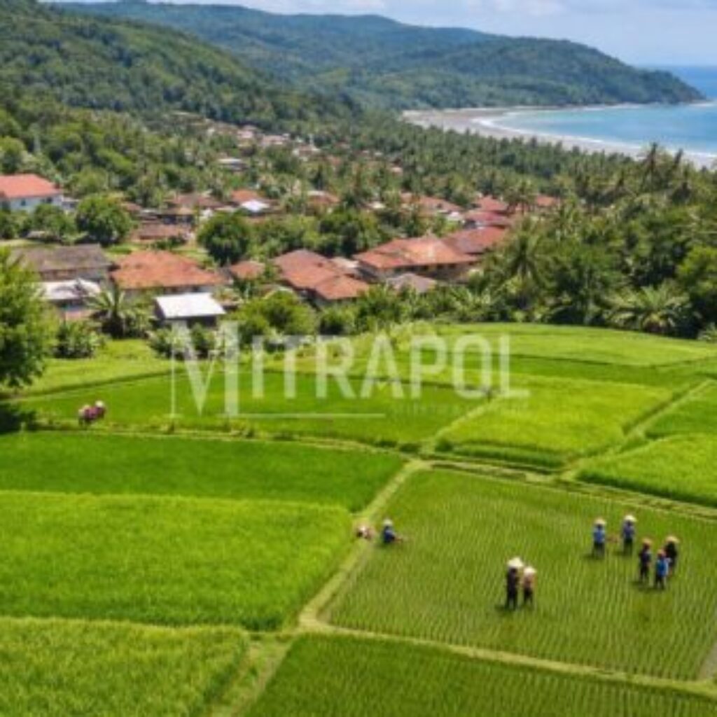 Desa Jayanti Kabupaten Sukabumi Bangkit! Potensi Besar Ini Jadi Kunci Menuju Desa Mandiri
