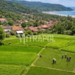 Potensi Desa Jayanti Sukabumi dengan sektor pertanian dan wisata.