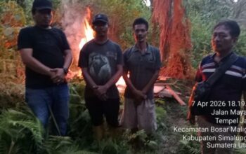 Petugas kepolisian membakar gubuk yang diduga menjadi lapak penyalahgunaan narkoba di Nagori Boluk Simalungun.