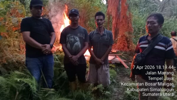 Petugas kepolisian membakar gubuk yang diduga menjadi lapak penyalahgunaan narkoba di Nagori Boluk Simalungun.