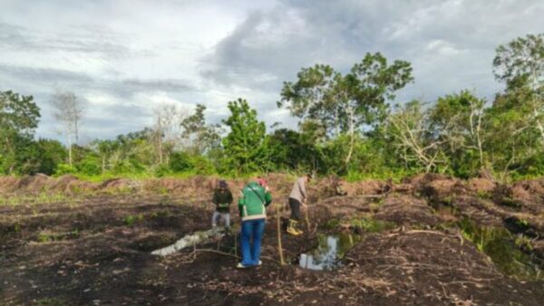Polsek Matan Hilir Utara bersama masyarakat menanam jagung hibrida.