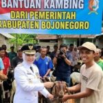3.325 Warga Bojonegoro Dapat Bantuan Domba 2026, Pemkab Genjot Ekonomi Keluarga