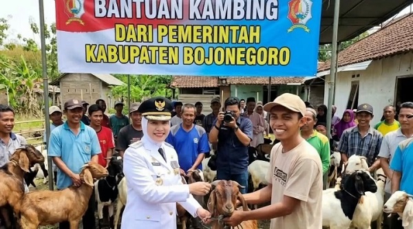 3.325 Warga Bojonegoro Dapat Bantuan Domba 2026