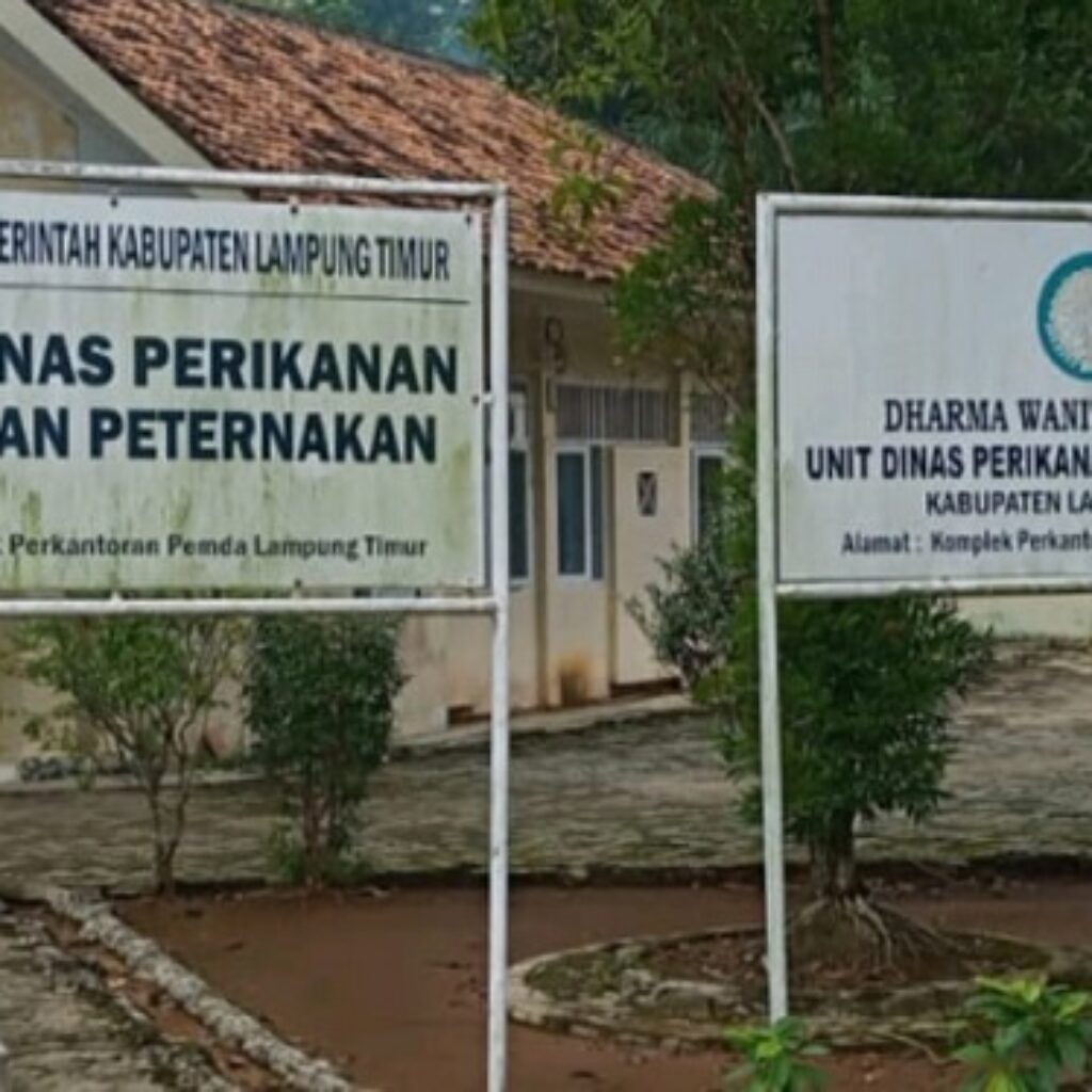 Belanja Mobil Dinas Rp314 Juta di Dinas Perikanan Lampung Timur Jadi Sorotan, Pemkab Diminta Jelaskan Prioritas Anggaran