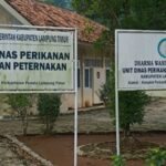 Belanja Mobil Dinas Rp314 Juta di Dinas Perikanan Lampung Timur