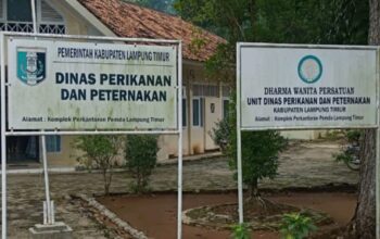 Belanja Mobil Dinas Rp314 Juta di Dinas Perikanan Lampung Timur