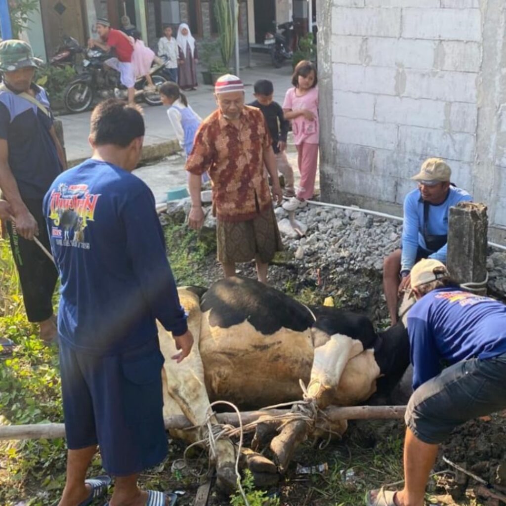 Idul Adha 2026, IKHROM Demak Distribusikan 700 Paket Daging Qurban, Naik Signifikan dari Tahun Lalu