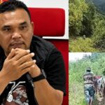 Jalan Rusak, Janji Mulus: Catatan Duka dari Aek Nabara