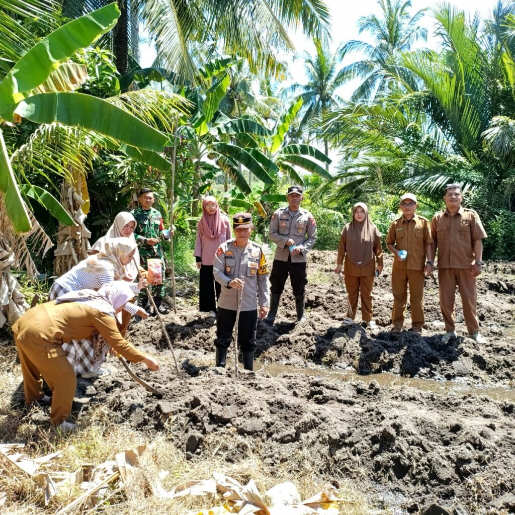 Kapolsek Matan Hilir Selatan Pimpin Penanaman Jagung Hibrida di Ketapang, Perkuat Ketahanan Pangan Nasional