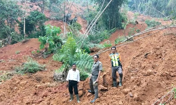Longsor Terjang Lebak Usai Hujan Deras