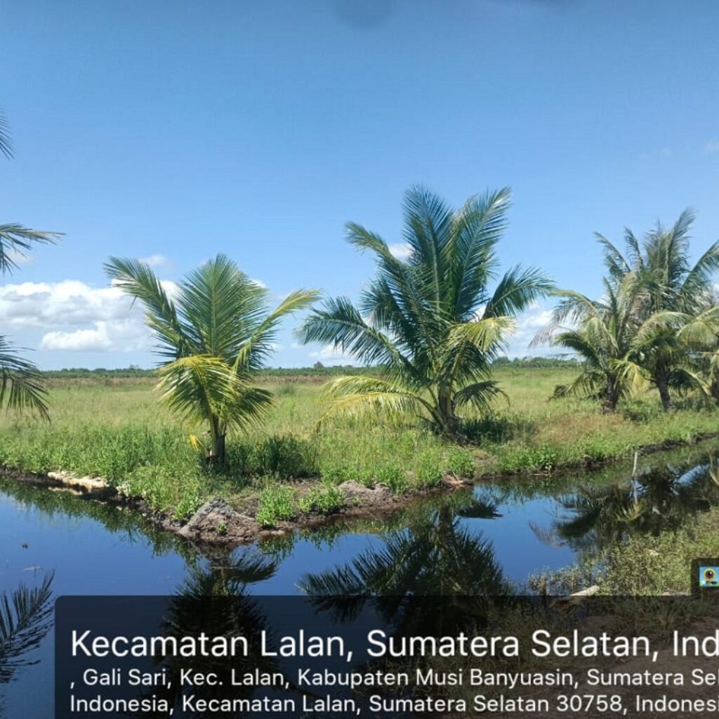 Mafia Tanah Berkedok Kelompok Tani Rampas Lahan Warga, Petani Karang Agung Muba Minta Perlindungan Hukum,