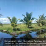 Mafia Tanah Berkedok Kelompok Tani Rampas Lahan Warga, Petani Karang Agung Muba Minta Perlindungan Hukum,